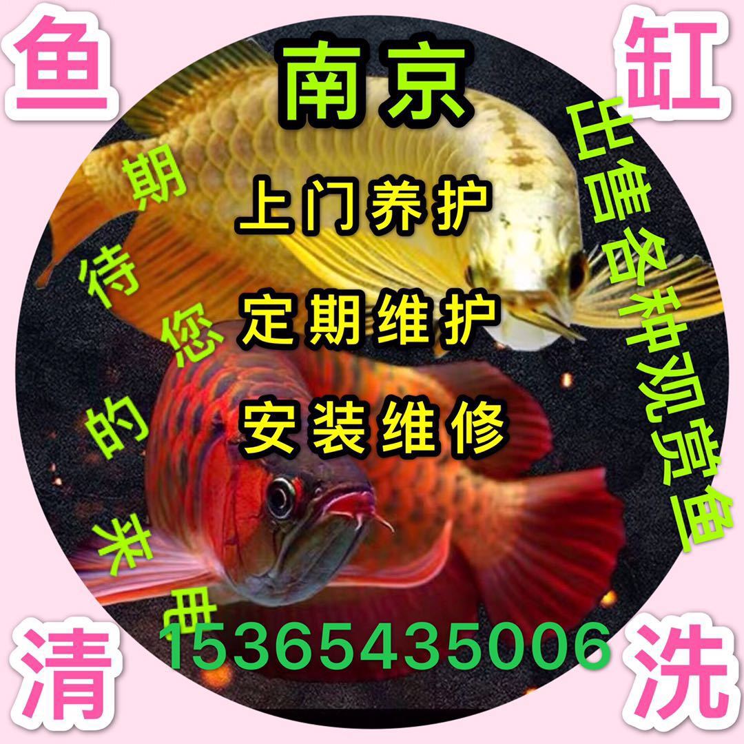 海峰水族